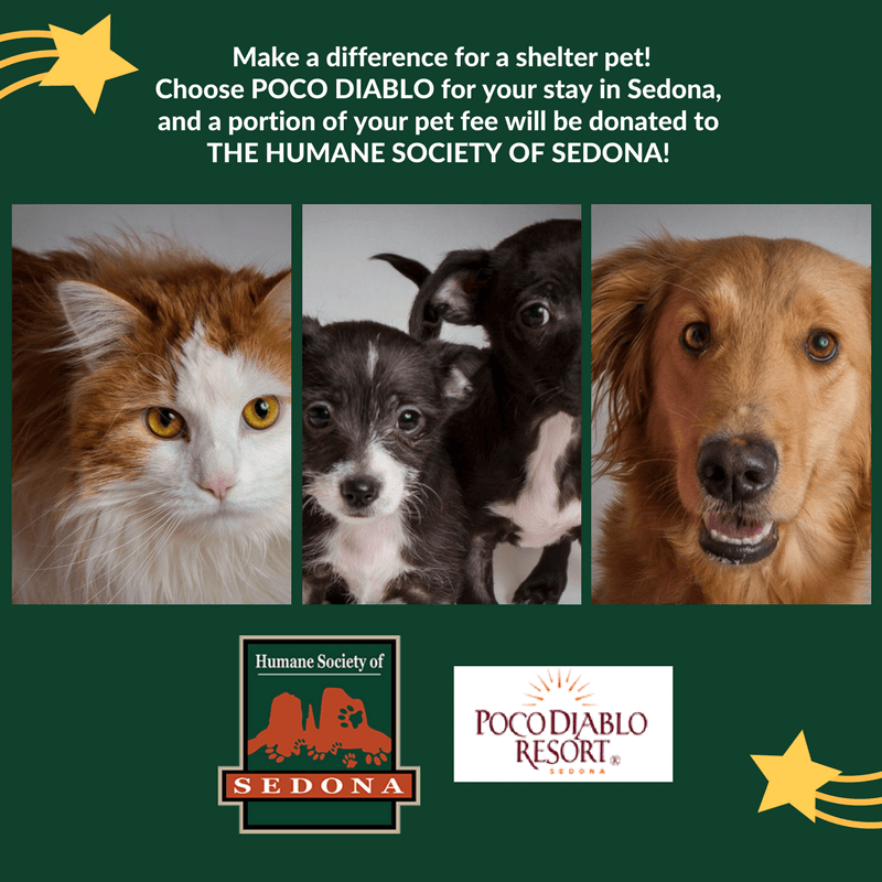 HUMANE SOCIETY OF SEDONA AND POCO DIABLO RESORT TEAM UP TO MAKE A DIFFERENCE FOR SHELTER PETS