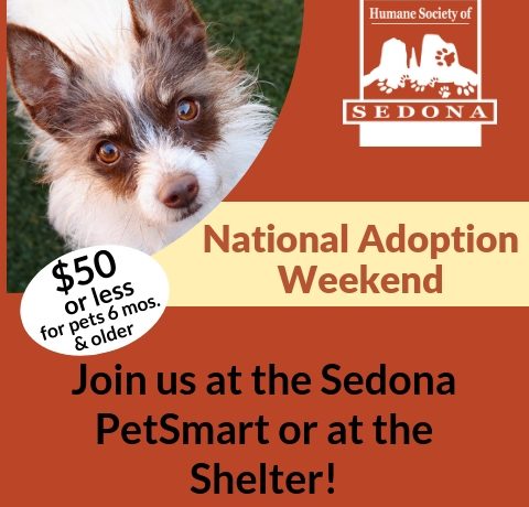 petsmart events this weekend