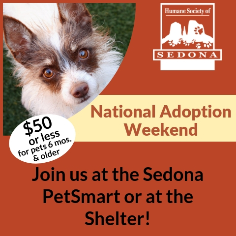 Dog Adoption Weekend