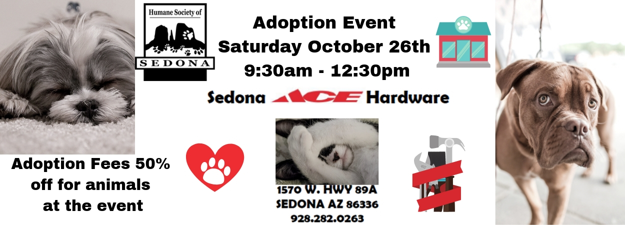 Home - Humane Society of Sedona Humane Society of Sedona | Care ...