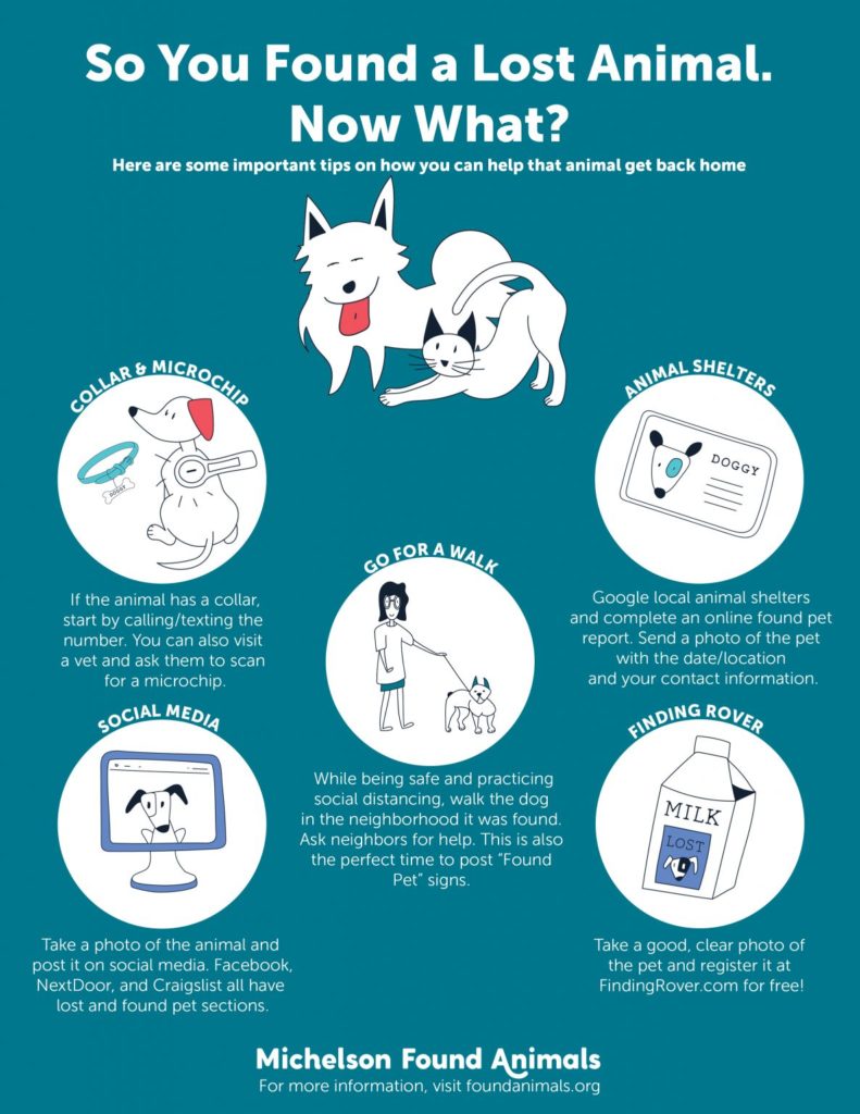 lost and found pets humane society