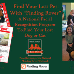 Press Release: Humane Society Goes High Tech Press Release: Humane Society Goes High Tech