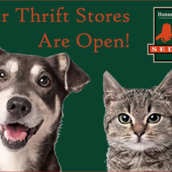 Press Release: The Humane Society Thrift Stores Open with Care Press Release: The Humane Society Thrift Stores Open with Care