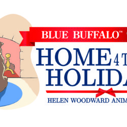 Humane Society of Sedona Teams Up with Home 4 the Holidays to Help Find Homes for Orphan Pets