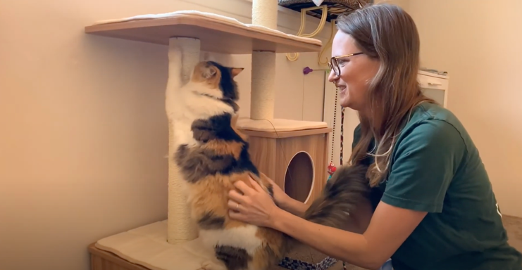 Teaching Cats to Scratch Appropriately