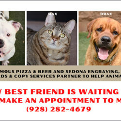 Press Release: Eat a Pizza….Adopt a New Friend Press Release: Eat a Pizza….Adopt a New Friend