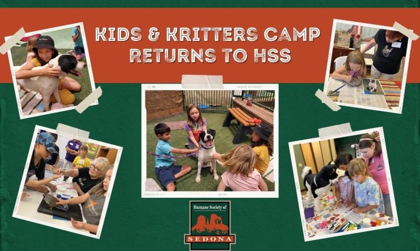 Press Release:  Kids and Kritters Camp Returns