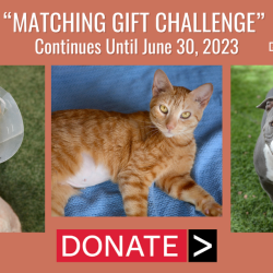 Press Release:  Matching Gift Challenge Continues until June 30, 2023