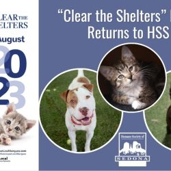 Press Release:  “Clear the Shelters” Event Returns to HSS