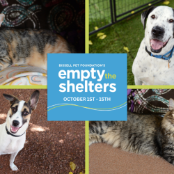 Humane Society of Sedona Teams Up with BISSELL Pet Foundation to “Empty the Shelters”