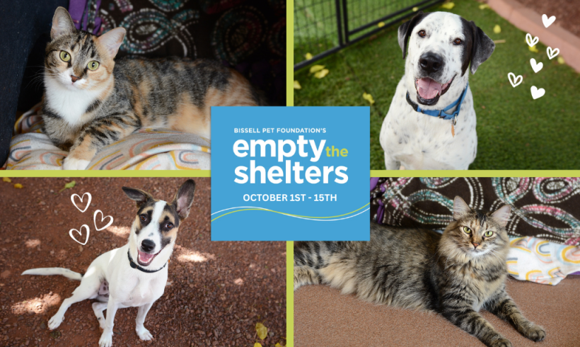 Humane Society of Sedona Teams Up with BISSELL Pet Foundation to “Empty the Shelters”