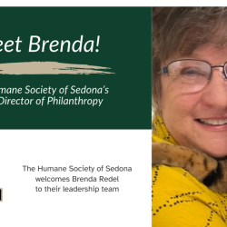Press Release: HUMANE SOCIETY OF SEDONA RAMPS UP GIVING OPPORTUNITIES WITH NEW DIRECTOR OF PHILANTHROPY