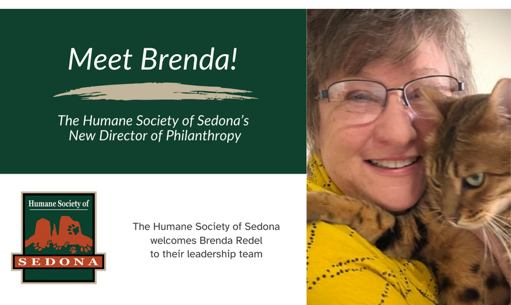 Press Release: HUMANE SOCIETY OF SEDONA RAMPS UP GIVING OPPORTUNITIES WITH NEW DIRECTOR OF PHILANTHROPY