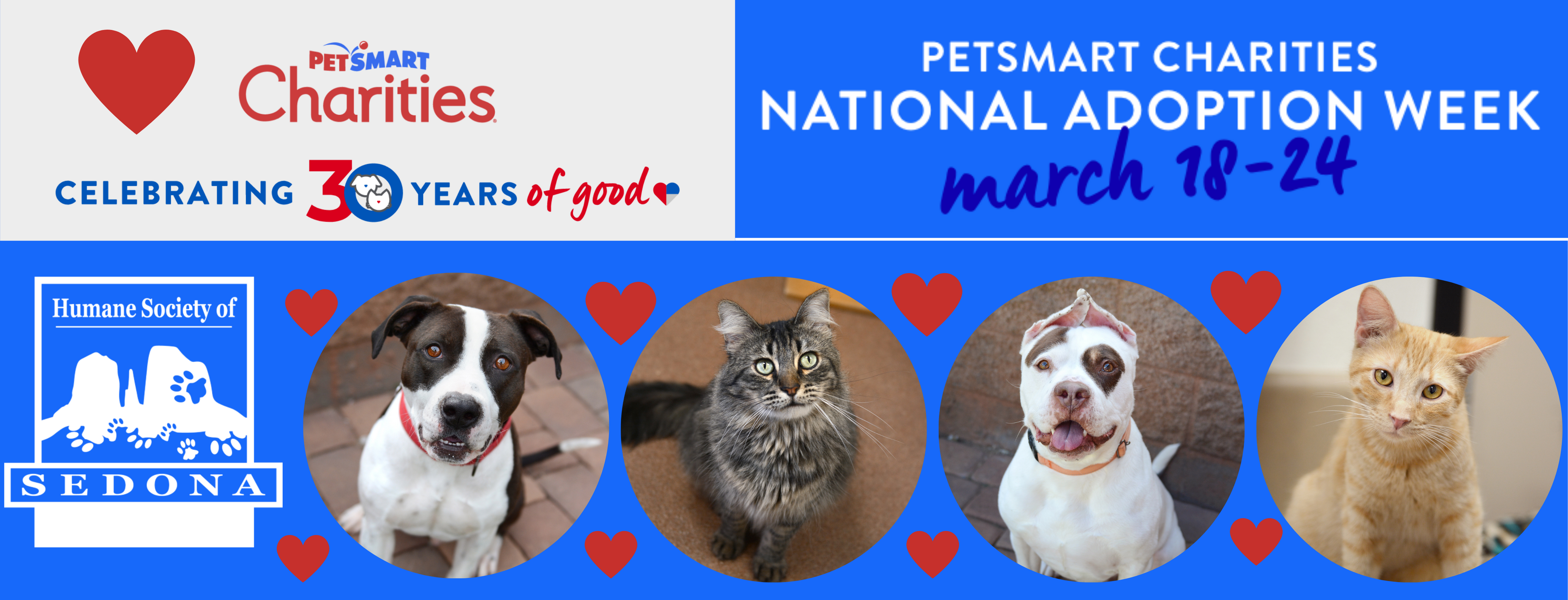 National adoption cheap week petsmart