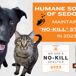 Press Release:  Humane Society of Sedona Maintained No-Kill in 2023!