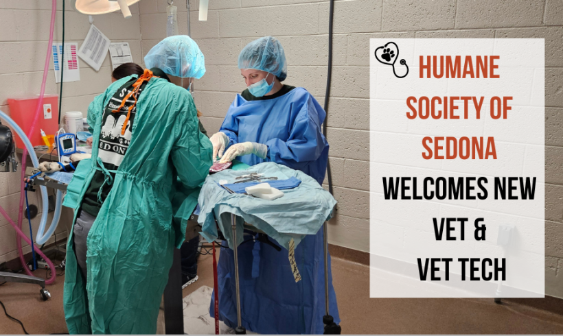 Press Release:  Humane Society of Sedona Welcomes New Veterinarian and Vet Tech