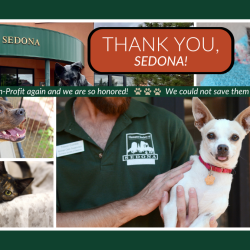 The Humane Society of Sedona Voted 2024 Best Nonprofit Organization