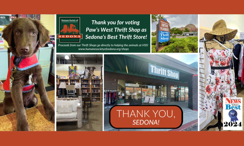 Paws West Thrift Store Voted 2024 Best Thrift Store