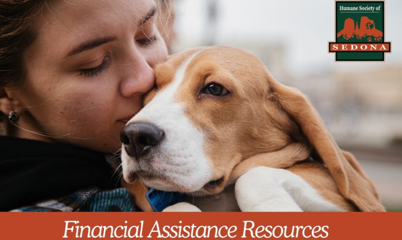 Financial Assistance Resources