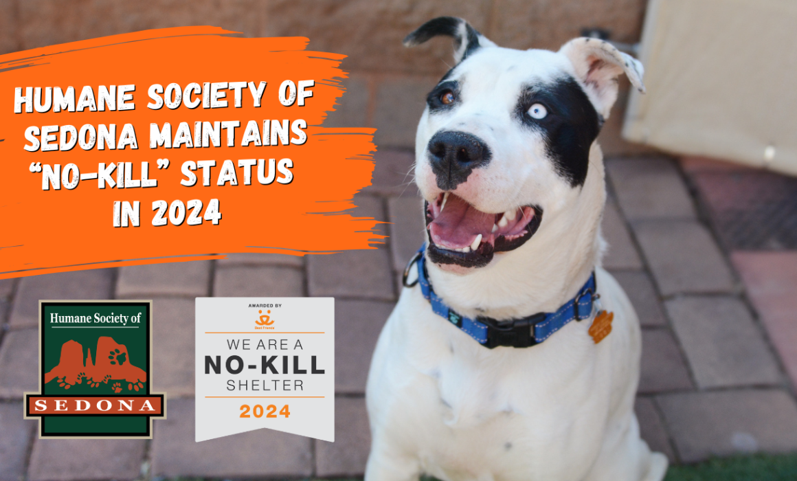 Press Release:  Humane Society of Sedona Maintained No-Kill in 2024!