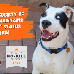 Press Release: Humane Society of Sedona Maintained No-Kill in 2024! Press Release: Humane Society of Sedona Maintained No-Kill in 2024!
