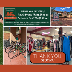 Paw Prints Thrift Store Voted 2025 Best Thrift Store