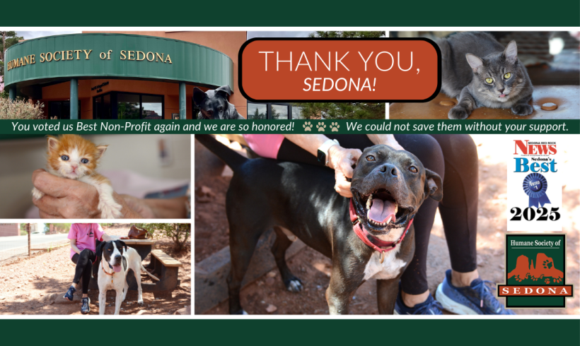 The Humane Society of Sedona Voted 2024 Best Nonprofit Organization The Humane Society of Sedona Voted 2024 Best Nonprofit Organization