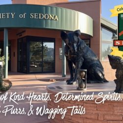 HSS Celebrates 60 Years of Saving Lives