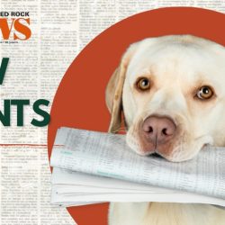Paw Prints – 7.24.26