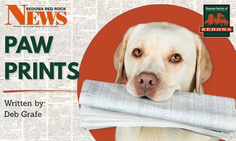 Paw Prints – 7.24.26 Paw Prints – 7.24.26